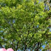 ヒメ日記 2025/04/26 00:07 投稿 おと かぐや姫