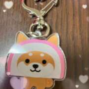 ヒメ日記 2025/10/17 14:22 投稿 おと かぐや姫