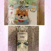 ヒメ日記 2025/12/25 10:15 投稿 おと かぐや姫