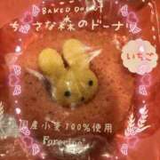 ヒメ日記 2026/05/17 03:10 投稿 おと かぐや姫