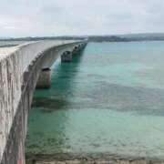 ヒメ日記 2025/01/18 05:47 投稿 ゆの 岐阜岐南各務原ちゃんこ