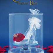 ヒメ日記 2025/02/25 09:07 投稿 ゆの 岐阜岐南各務原ちゃんこ