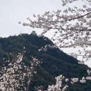 ヒメ日記 2025/04/07 10:47 投稿 ゆの 岐阜岐南各務原ちゃんこ