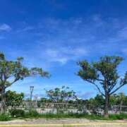 ヒメ日記 2025/07/18 10:17 投稿 ゆの 岐阜岐南各務原ちゃんこ