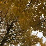 ヒメ日記 2025/10/09 10:37 投稿 ゆの 岐阜岐南各務原ちゃんこ