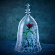 ヒメ日記 2026/01/08 11:57 投稿 ゆの 岐阜岐南各務原ちゃんこ