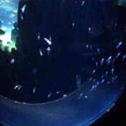 ヒメ日記 2026/02/10 20:27 投稿 ゆの 岐阜岐南各務原ちゃんこ