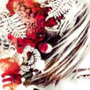 ゆの 4月24日 岐阜岐南各務原ちゃんこ