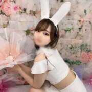 ヒメ日記 2025/05/03 09:05 投稿 ゆり 恋するバニー