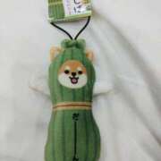 ヒメ日記 2025/10/12 16:57 投稿 ひなた アクトレス(鶯谷)