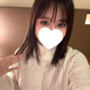 ヒメ日記 2024/12/26 21:27 投稿 こむぎ 黒い金魚（札幌）