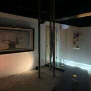 ヒメ日記 2024/12/28 12:05 投稿 こむぎ 黒い金魚（札幌）