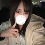 ヒメ日記 2025/01/18 01:08 投稿 こむぎ 黒い金魚（札幌）