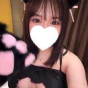 ヒメ日記 2025/02/08 19:39 投稿 こむぎ 黒い金魚（札幌）