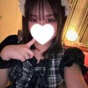 ヒメ日記 2025/02/16 21:06 投稿 こむぎ 黒い金魚（札幌）