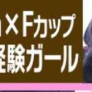 ヒメ日記 2025/02/23 00:17 投稿 こむぎ 黒い金魚（札幌）