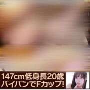 ヒメ日記 2025/04/05 00:56 投稿 こむぎ 黒い金魚（札幌）