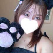 ヒメ日記 2025/04/22 16:17 投稿 こむぎ 黒い金魚（札幌）