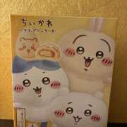 ヒメ日記 2025/05/03 00:37 投稿 こむぎ 黒い金魚（札幌）