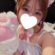 ヒメ日記 2025/05/10 18:01 投稿 こむぎ 黒い金魚（札幌）