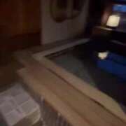 ヒメ日記 2025/05/28 13:47 投稿 こむぎ 黒い金魚（札幌）