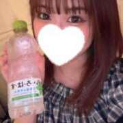 ヒメ日記 2025/06/12 18:47 投稿 こむぎ 黒い金魚（札幌）