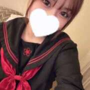 ヒメ日記 2025/06/14 14:17 投稿 こむぎ 黒い金魚（札幌）