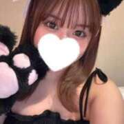 ヒメ日記 2025/06/14 20:00 投稿 こむぎ 黒い金魚（札幌）