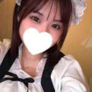 ヒメ日記 2025/07/24 13:01 投稿 こむぎ 黒い金魚（札幌）