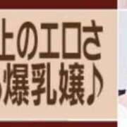 ヒメ日記 2025/08/09 01:04 投稿 こむぎ 黒い金魚（札幌）