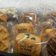 ヒメ日記 2025/08/20 22:10 投稿 こむぎ 黒い金魚（札幌）