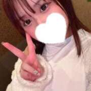 ヒメ日記 2025/10/28 10:36 投稿 こむぎ 黒い金魚（札幌）