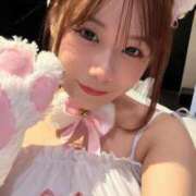 ヒメ日記 2025/11/10 19:00 投稿 こむぎ 黒い金魚（札幌）