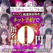 ヒメ日記 2025/11/17 13:20 投稿 こむぎ 黒い金魚（札幌）