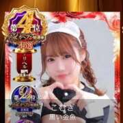 ヒメ日記 2025/12/03 12:21 投稿 こむぎ 黒い金魚（札幌）