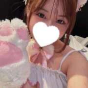 ヒメ日記 2026/01/22 18:50 投稿 こむぎ 黒い金魚（札幌）