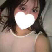 ヒメ日記 2026/02/14 03:30 投稿 こむぎ 黒い金魚（札幌）