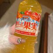 ヒメ日記 2026/02/28 19:33 投稿 こむぎ 黒い金魚（札幌）