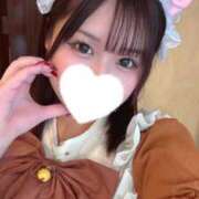 ヒメ日記 2026/03/07 12:10 投稿 こむぎ 黒い金魚（札幌）