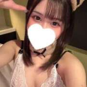 ヒメ日記 2026/03/30 18:24 投稿 こむぎ 黒い金魚（札幌）