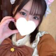 ヒメ日記 2026/04/21 15:00 投稿 こむぎ 黒い金魚（札幌）