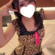 ヒメ日記 2026/04/26 15:10 投稿 こむぎ 黒い金魚（札幌）