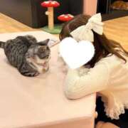 ヒメ日記 2026/07/12 20:20 投稿 こむぎ 黒い金魚（札幌）
