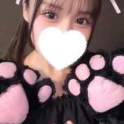 ヒメ日記 2026/08/01 22:30 投稿 こむぎ 黒い金魚（札幌）