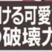 ヒメ日記 2026/09/18 08:30 投稿 こむぎ 黒い金魚（札幌）