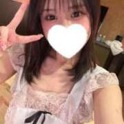 ヒメ日記 2026/09/23 03:00 投稿 こむぎ 黒い金魚（札幌）