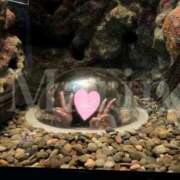 ヒメ日記 2026/01/10 09:34 投稿 Marin 濃密バブルSPA VIP