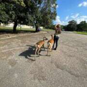 ヒメ日記 2025/01/16 09:45 投稿 杉咲うい コウテイ