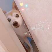 ヒメ日記 2025/01/17 07:07 投稿 杉咲うい コウテイ