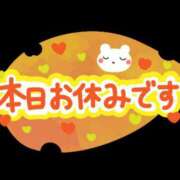 ヒメ日記 2024/11/20 12:45 投稿 みき ぷるるんマダム 難波店